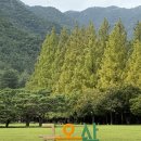 선일카 | 금오산 진짜 저한테 죽습니다 ⛰️👊🏻