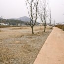 앙상블딸기농장 이미지