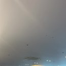 아세로짐 평택역점 이미지