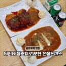 박까스 | 대전 은행동 맛집 중앙로역 근처 온정돈까스 디진다 챌린지?