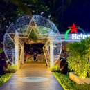 수 (수노래클럽) | 나트랑 로컬 술집 해변 펍 세일링클럽 입장료 및 내돈내산 간맥 후기