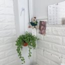 네일주 이미지