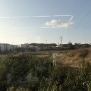 골드카페 | 이천 디저트 맛집 :: 카페복숭아🍑 두바이초코 골드그린키위요거트 케이크 후기