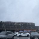 이삭애견 | 강원도 대관령 선자령 폭설 눈구경애견동반 여행