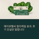 헬씨푸드 | 메이큐헬씨 컬리케일 효과, 후기 진실만 말합니다