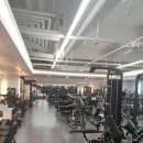 건강해GYM 이미지