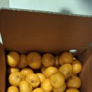 청포도한의원 이미지