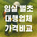 임실 벌초대행업체 비용 후기 알아보기