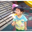 한울타리어린이집 이미지