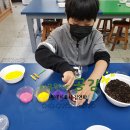 대구선원초등학교 이미지