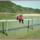 2011년 봄소풍~~ 이미지