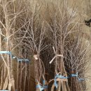 성보농장 이미지