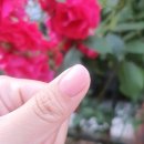 To.nail (투네일)