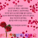 혜-드리 | [혜화 파스타 맛집] 대학로 청첩장 모임하기 좋은 투파인드피터 솔직후기