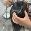 씨팝케어 | 씨팝 딥쿨링 스칼프 탈모샴푸 쿨링감이 대박임