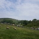 해돌목장 이미지