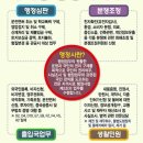 알파행정사 이미지