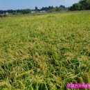 버들농장 이미지