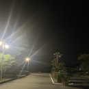 도고컨트리구락부 | 충남 아산의 도고 cc 라운딩 후기