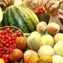 채소와 과일 고르는 법과 보관법 이미지