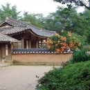 언덕위의 집 Daum카페
