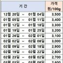 더나은딸기