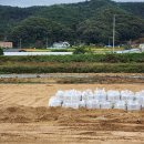 역천파크골프장 이미지