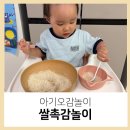 맘소꼽놀이 | 아기 쌀촉감놀이 몬테소리 다양한 오감발달 집중력까지
