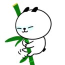 해금강복어 이미지