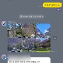 브이시드니 | 📷내돈내산 시드니 아이폰스냅 후기📷