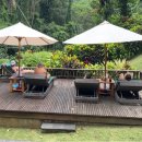 리버싸이드 | 발리여행 마야우붓 인피니티 리버사이드풀 및 마사지 후기