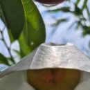 천은농장 이미지