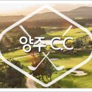 근영농산(주)양주컨트리클럽 이미지