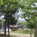 다이소 광주평동점 이미지