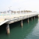 어항단지로 이미지