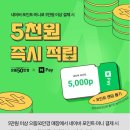 포인트안경콘택트 이미지