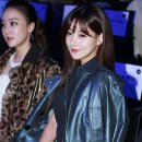 조슬기디자인 이미지