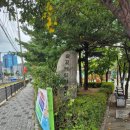 솔길어린이공원 - 2494 | 솔길어린이공원