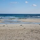 스테이 달 ring 이미지