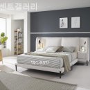 가구갤러리 앞 이미지