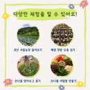 쌍곡 농장 이미지