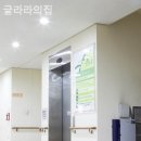 글라라의집 네이버블로그
