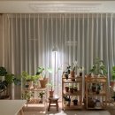 플랜테리어 | 식집살이 아파트 거실 플랜테리어 후기｜식물 100개와 살게 된 3년 이야기