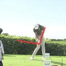 골프챔프 이미지