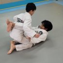 용인대석사특전합기도 | [마북도장] 용인대 특전 합기도 25년 11월