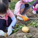 대전어린이집 이미지