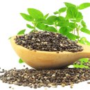 씨드요가 이미지