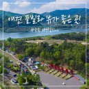 무아레도그라운드 이미지