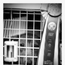 쿠어츠바인에 이미지