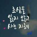 (주)하인지 이미지